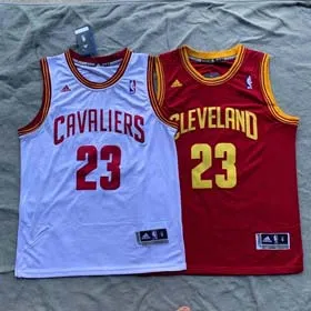 NBA James jersey embroidered vest for men and women Basketball Jersey（4 styles)-2028  
